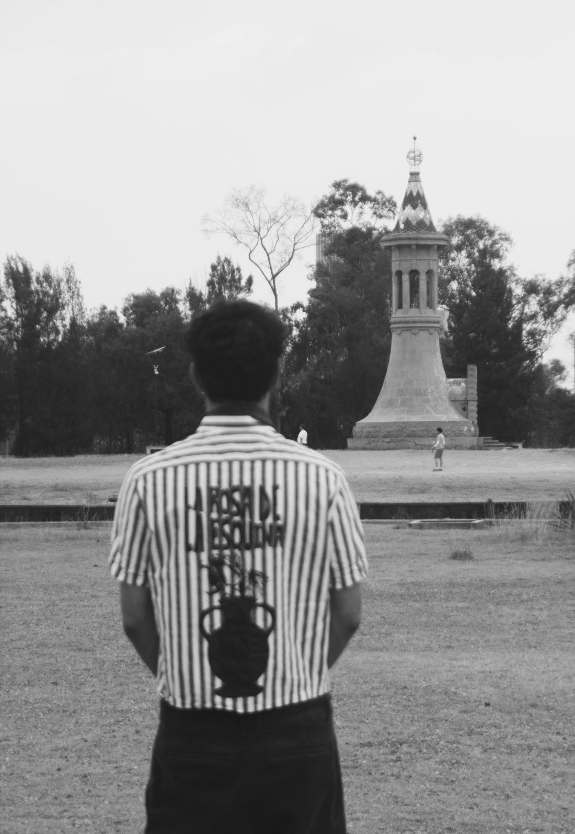 La Rosa Vase shirt