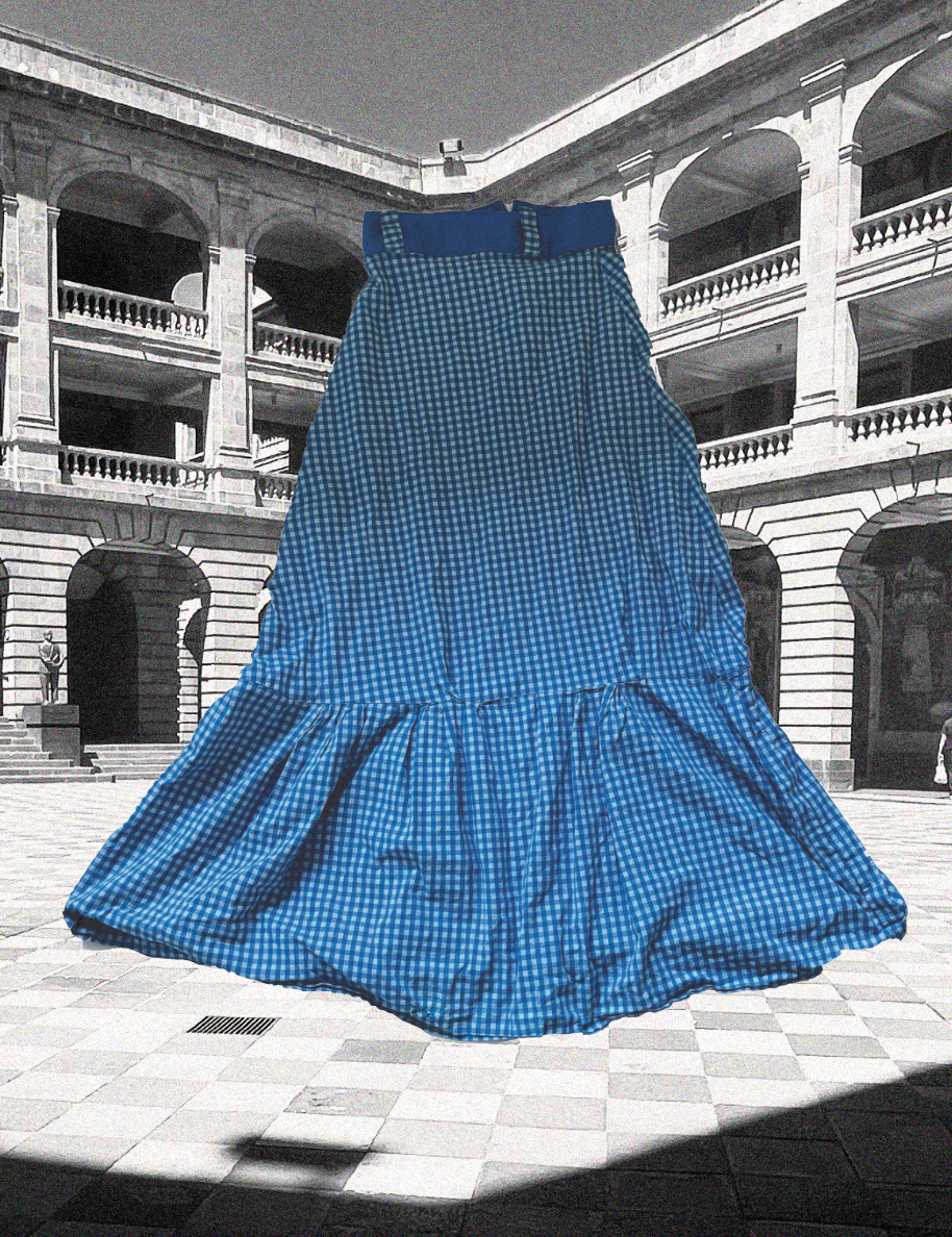 Blue Gingham Skirt